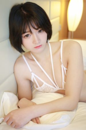艳美1～2集无删减动漫在线