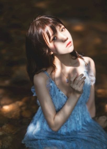 蝌蚪网站
