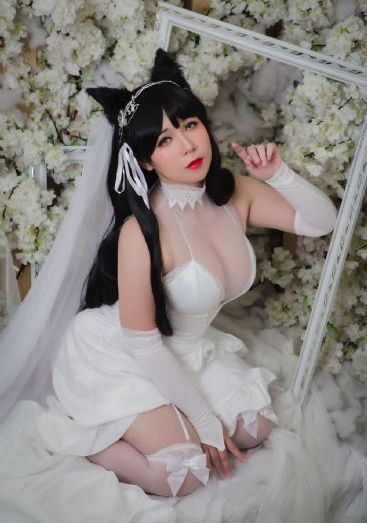灰姑娘h版
