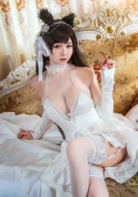 电视剧惊弦全集免费观看